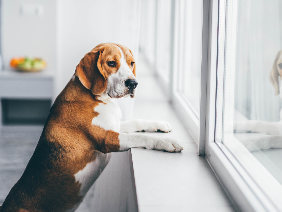 Top Landlord Questions: 